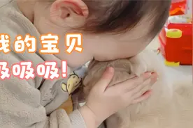 宝宝吸猫 猫咪太可爱了 对宝宝来说是第一个可爱的需要守护的存在视频封面