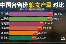 中国各省份历年粮食产量对比，你知道产粮大省都有谁？视频封面