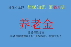 养老保险缴费0.6和1.0两档次，差别大吗？视频封面