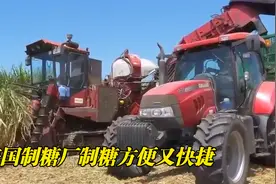 甘蔗如何变成糖？美国制糖厂收割到包装，全程机械化，省时又省力视频封面