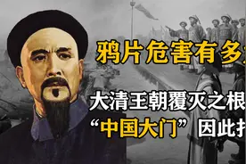 鸦片打开了中国的大门，军队因此毫无战力，百姓因此家破人亡视频封面