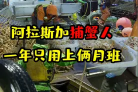 一年只上俩月班的捕蟹人，年收入竟有63万？真是拿命在赚钱啊视频封面