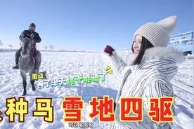 美女穿了三条棉裤，雪地骑马出尽洋相视频封面