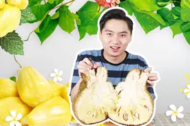 小伙吃正宗海南菠萝蜜，不仅吃果肉，连核都不放过！！！视频封面