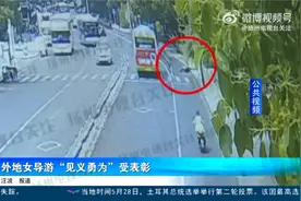 外地女导游 “见义勇为”受表彰视频封面