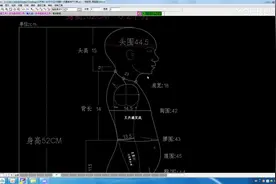 童装人体净尺寸及体型分析视频封面