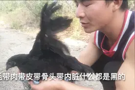 小伙听说有种五黑鸡，连内脏都黑色，特地从网上买来看下真假视频封面