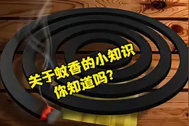 蚊香到底是熏晕蚊子还是杀死蚊子？视频封面