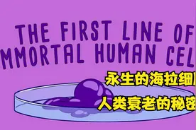 人类永生的可能，海拉细胞，端粒和端粒酶！视频封面