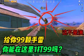 射手皮特：敌人就在我眼前，手雷已就绪，他却不知道我的存在！视频封面