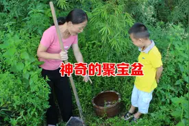 小孩在荒地发现一个聚宝盆，不料因妈妈太贪心，结果却闯下了大祸视频封面