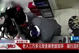 上海：老人三万多元现金被老鼠咬坏 银行及时清兑