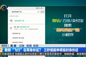 暑假“飞行”忘带身份证？三秒就能申领临时身份证视频封面