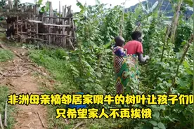 非洲母亲摘邻居家喂牛的树叶让孩子们吃，只是希望家人不再挨饿视频封面