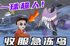 宝可梦剑盾：急冻鸟在王冠雪原出现，河马哥用一颗球直接收服它视频封面
