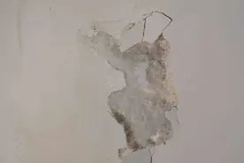 墙面长白毛是泛碱现象，大可不必慌视频封面