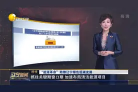 “能源革命”助推辽宁绿色低碳发展视频封面
