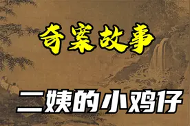 【奇案故事】《二姨的小鸡仔》视频封面