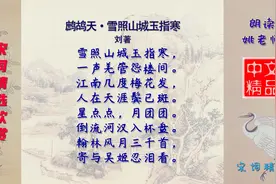 鹧鸪天·雪照山城玉指寒 宋代 刘著 一首寄给情人的词，感情真挚视频封面