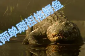 魔兽怀旧服法师单刷祖格鳄鱼+老虎（爷的青春回来啦，）视频封面