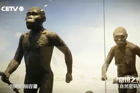 320万年前的古猿，为什么叫露西呢？考古专家为你讲述背后的故事视频封面