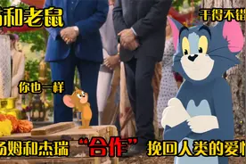 猫和老鼠来到纽约也不放过彼此，没想到最后合作挽回婚礼视频封面