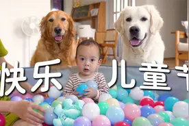 小宝宝与狗狗一起玩波波池？这个儿童节很难忘！视频封面