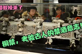 河南博物院九大镇院之宝（六）云纹铜禁视频封面