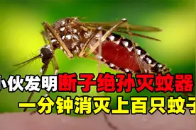 小伙发明断子绝孙灭蚊器，一分钟灭上百只，立志消灭所有蚊子视频封面