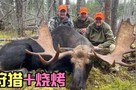 职业猎人进入原始森林狩猎到500斤大麋鹿，就地烧烤吃烤肉。视频封面