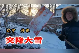 丹东昨晚突降大雪，农村老爸5点钟就起床扫雪，一起量量雪有多厚视频封面