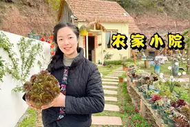 花一年多时间，在农村做了个花园小院，等月季爬满墙就太漂亮了视频封面