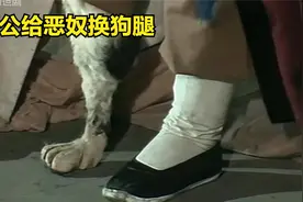 你知道狗腿子的来历吗,狗撒尿伸腿是有原因的，看济公惩罚恶人视频封面