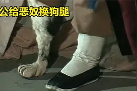 你知道狗腿子的来历吗,狗撒尿伸腿是有原因的，看济公惩罚恶人视频封面