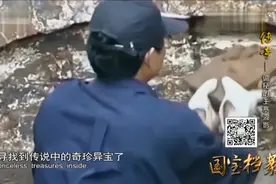 明朝王墓出土大量黄金器具，宝石700多颗，犹如打开一座宝藏视频封面