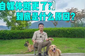 做自媒体两年了，今天说点心里话，为什么很多旅行博主断更了？视频封面