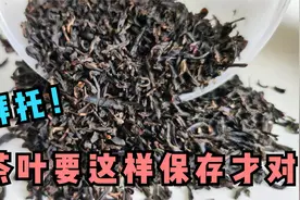 茶叶不要放冰箱了！这才是正确的保存方法，放10年都不变质视频封面