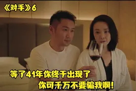 《对手》6，41岁单身女秘书被帅哥狂追，竟只为盗取一份客户名单视频封面