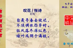 叹花  怅诗 唐代 杜牧 - 表现诗人在不如意时的一种惆怅懊丧之情视频封面