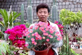 玛格丽特开花稀稀拉拉，掌握“1个”小技巧，持续开，次次开爆！视频封面