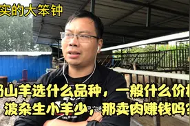 奶山羊选什么品种，一般什么价格？波杂生小羊少，那卖肉赚钱吗？视频封面