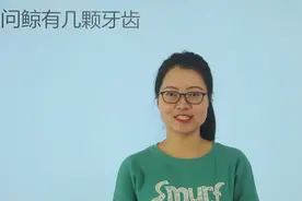 考考你：鲸鱼有多少颗牙齿呢？视频封面