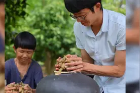 传统工艺腌制酸芋蒙，是这个夏天的味道，白粥的好伴侣视频封面