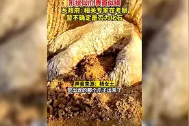 修路挖到“真龙”化石，龙爪上鳞片清晰可见，村民：下面有2条龙视频封面