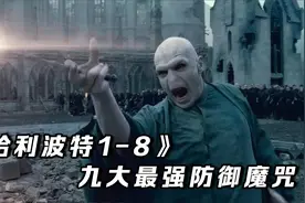盘点哈利波特九大最强防御魔咒，呼神守卫竟排倒数视频封面