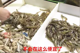 北京水产市场鲜活海虾价格再次爆低，年前最后一次，比产地便宜？视频封面