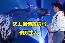 史上最聪明的马，调戏主人，看情况不妙，就哄主人开心视频封面