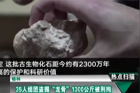 榆林：35人组团盗掘“龙骨”1300公斤被刑拘视频封面