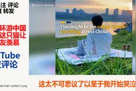带着猫环游中国，中国这只猫让外国网友羡慕：它过着我梦想的生活视频封面