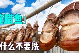 你腌的腊鱼为什么不好吃？肯定第1步就错了，老手们都这样做视频封面